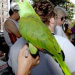 C 2007 BUTCH 10 6 07 0200.jpg